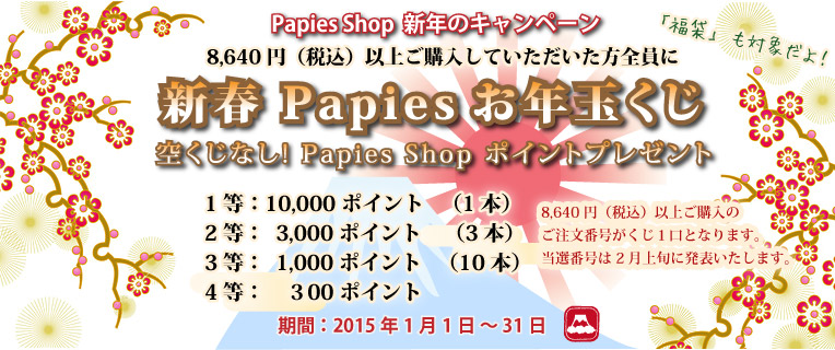 高品質 手芸用 紙バンド 専門店 Papies Shop 1月のキャンペーン