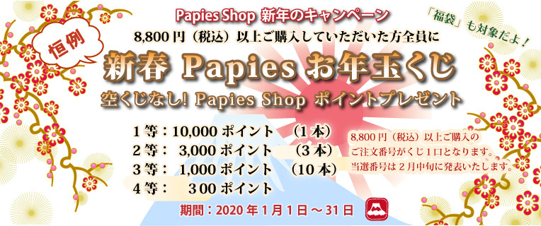 高品質 手芸用 紙バンド 専門店 Papies Shop 1月のキャンペーン