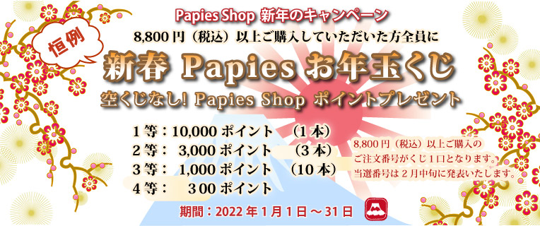高品質 手芸用 紙バンド 専門店 Papies Shop 1月のキャンペーン