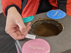 Papiesお年玉くじ Papiesお年玉くじ 1等は?!