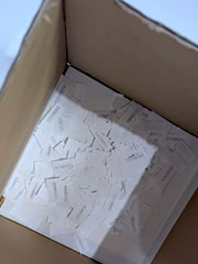 Papiesお年玉くじ くじ